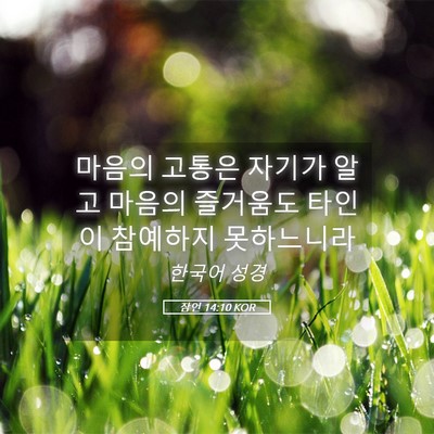 Picture 05 - 잠언 14:10 KOR - 마음의 고통은 자기가 알고 마음의 - Bible Verse Picture