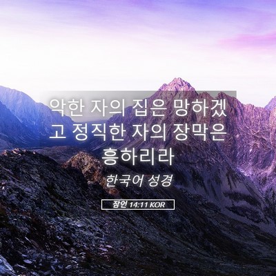 Picture 05 - 잠언 14:11 KOR - 악한 자의 집은 망하겠고 정직한 - Bible Verse Picture