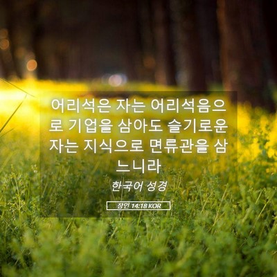 Picture 05 - 잠언 14:18 KOR - 어리석은 자는 어리석음으로 기업을 - Bible Verse Picture