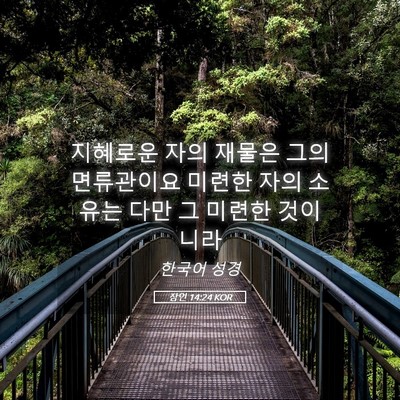 Picture 05 - 잠언 14:24 KOR - 지혜로운 자의 재물은 그의 - Bible Verse Picture