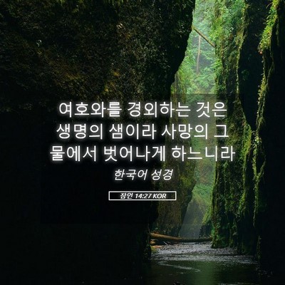 Picture 05 - 잠언 14:27 KOR - 여호와를 경외하는 것은 생명의 - Bible Verse Picture