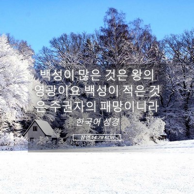 Picture 05 - 잠언 14:28 KOR - 백성이 많은 것은 왕의 영광이요 - Bible Verse Picture