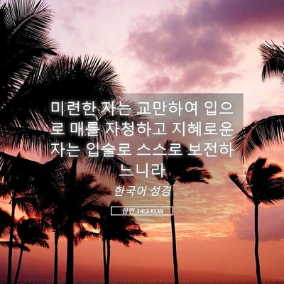 Picture 05 - 잠언 14:3 KOR - 미련한 자는 교만하여 입으로 매를 - Bible Verse Picture