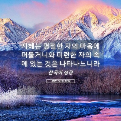 Picture 05 - 잠언 14:33 KOR - 지혜는 명철한 자의 마음에 - Bible Verse Picture