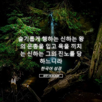 Picture 05 - 잠언 14:35 KOR - 슬기롭게 행하는 신하는 왕의 은총을 - Bible Verse Picture