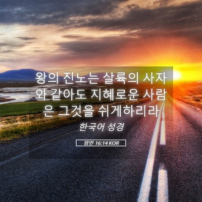 Picture 05 - 잠언 16:14 KOR - 왕의 진노는 살륙의 사자와 같아도 - Bible Verse Picture