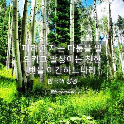 Picture 05 - 잠언 16:28 KOR - 패려한 자는 다툼을 일으키고 - Bible Verse Picture