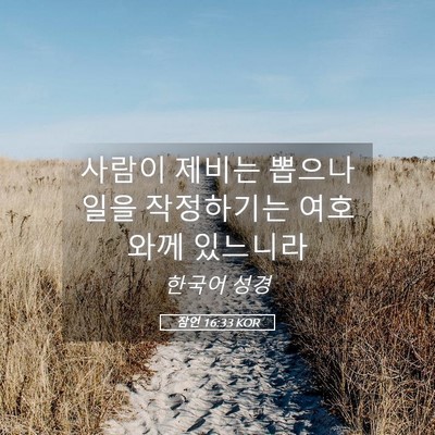 Picture 05 - 잠언 16:33 KOR - 사람이 제비는 뽑으나 일을 - Bible Verse Picture