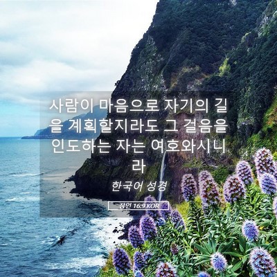 Picture 05 - 잠언 16:9 KOR - 사람이 마음으로 자기의 길을 - Bible Verse Picture