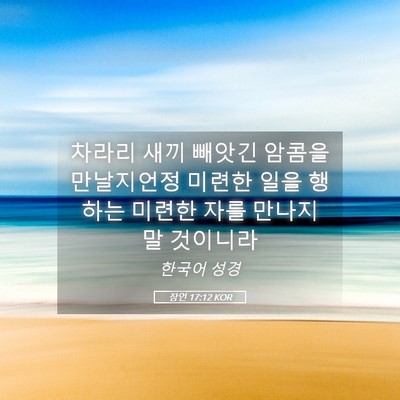 Picture 05 - 잠언 17:12 KOR - 차라리 새끼 빼앗긴 암콤을 - Bible Verse Picture