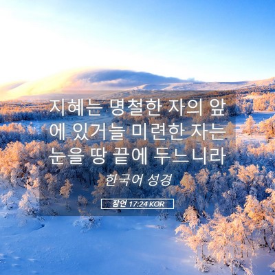 Picture 05 - 잠언 17:24 KOR - 지혜는 명철한 자의 앞에 있거늘 - Bible Verse Picture