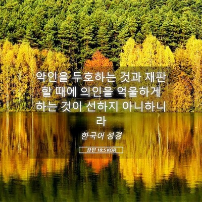 Picture 05 - 잠언 18:5 KOR - 악인을 두호하는 것과 재판할 때에 - Bible Verse Picture