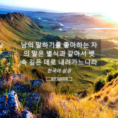 Picture 05 - 잠언 18:8 KOR - 남의 말하기를 좋아하는 자의 말은 - Bible Verse Picture