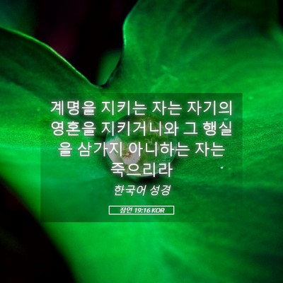 Picture 05 - 잠언 19:16 KOR - 계명을 지키는 자는 자기의 영혼을 - Bible Verse Picture