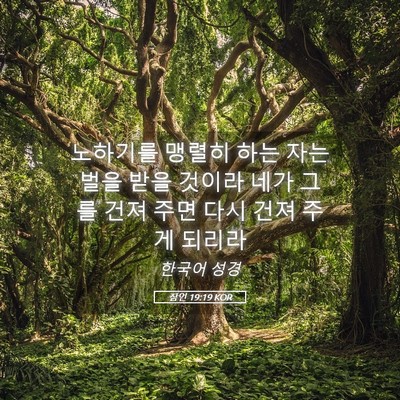 Picture 05 - 잠언 19:19 KOR - 노하기를 맹렬히 하는 자는 벌을 - Bible Verse Picture