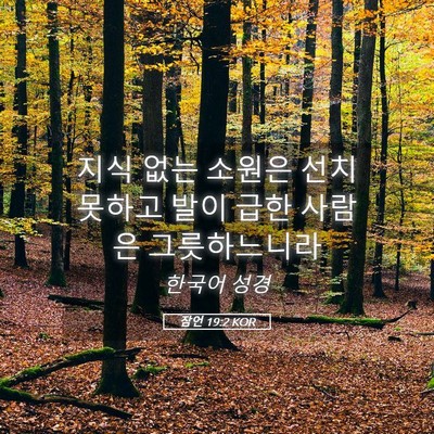 Picture 05 - 잠언 19:2 KOR - 지식 없는 소원은 선치 못하고 발이 - Bible Verse Picture