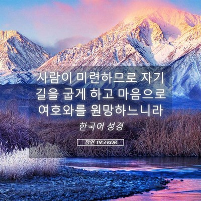 Picture 05 - 잠언 19:3 KOR - 사람이 미련하므로 자기 길을 굽게 - Bible Verse Picture
