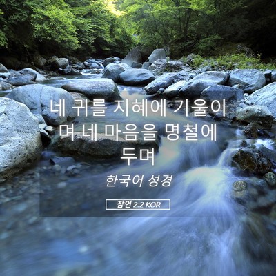 Picture 05 - 잠언 2:2 KOR - 네 귀를 지혜에 기울이며 네 마음을 - Bible Verse Picture