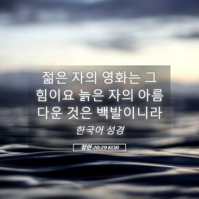 Picture 05 - 잠언 20:29 KOR - 젊은 자의 영화는 그 힘이요 늙은 - Bible Verse Picture