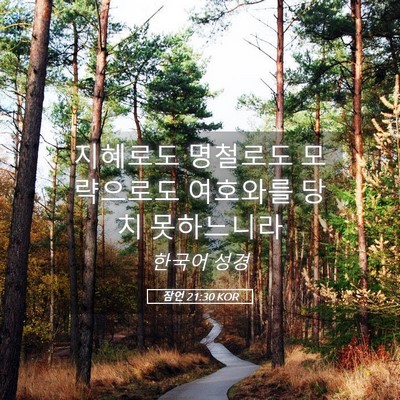 Picture 05 - 잠언 21:30 KOR - 지혜로도 명철로도 모략으로도 - Bible Verse Picture