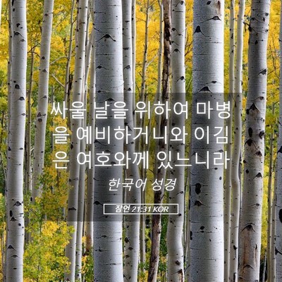 Picture 05 - 잠언 21:31 KOR - 싸울 날을 위하여 마병을 - Bible Verse Picture