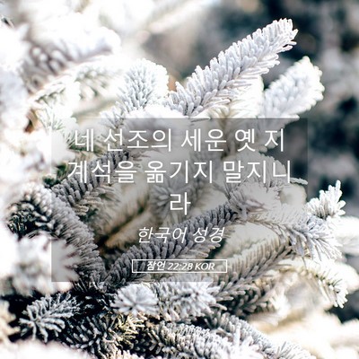 Picture 05 - 잠언 22:28 KOR - 네 선조의 세운 옛 지계석을 옮기지 - Bible Verse Picture