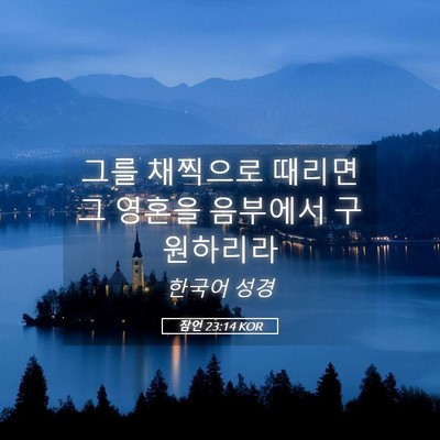 Picture 05 - 잠언 23:14 KOR - 그를 채찍으로 때리면 그 영혼을 - Bible Verse Picture