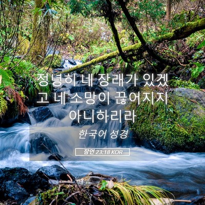 Picture 05 - 잠언 23:18 KOR - 정녕히 네 장래가 있겠고 네 소망이 - Bible Verse Picture