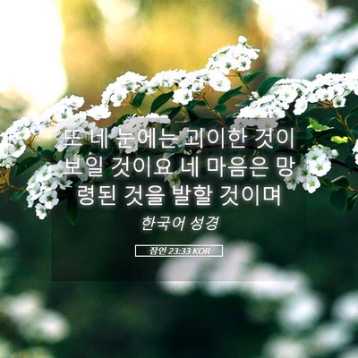 Picture 05 - 잠언 23:33 KOR - 또 네 눈에는 괴이한 것이 보일 - Bible Verse Picture