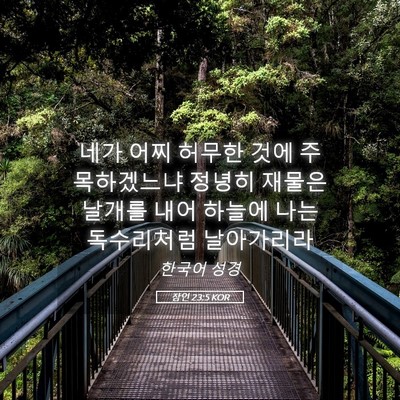 Picture 05 - 잠언 23:5 KOR - 네가 어찌 허무한 것에 주목하겠느냐 - Bible Verse Picture