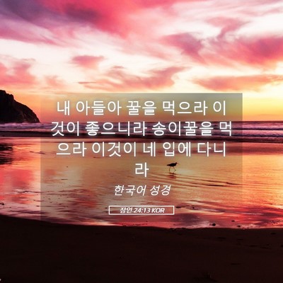 Picture 05 - 잠언 24:13 KOR - 내 아들아 꿀을 먹으라 이것이 - Bible Verse Picture