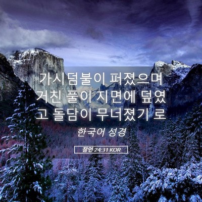 Picture 05 - 잠언 24:31 KOR - 가시덤불이 퍼졌으며 거친 풀이 - Bible Verse Picture
