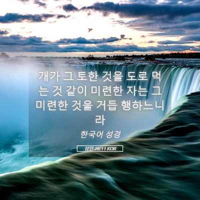 Picture 05 - 잠언 26:11 KOR - 개가 그 토한 것을 도로 먹는 것 같이 - Bible Verse Picture
