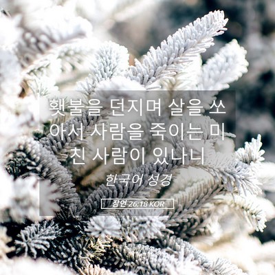 Picture 05 - 잠언 26:18 KOR - 횃불을 던지며 살을 쏘아서 사람을 - Bible Verse Picture