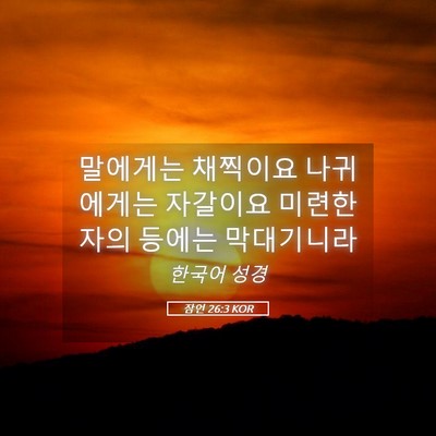 Picture 05 - 잠언 26:3 KOR - 말에게는 채찍이요 나귀에게는 - Bible Verse Picture