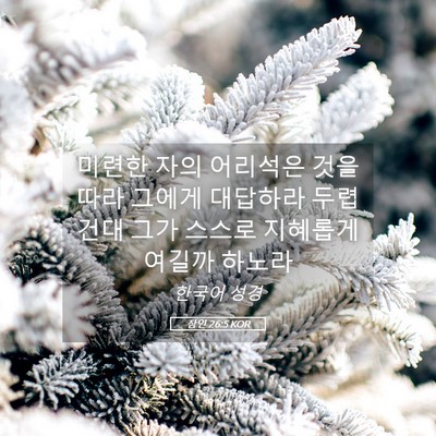 Picture 05 - 잠언 26:5 KOR - 미련한 자의 어리석은 것을 따라 - Bible Verse Picture