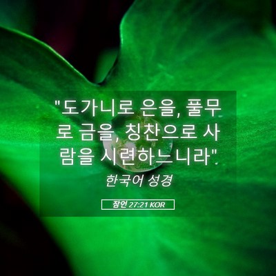 Picture 05 - 잠언 27:21 KOR - 