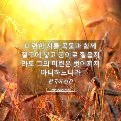 Picture 05 - 잠언 27:22 KOR - 미련한 자를 곡물과 함께 절구에 - Bible Verse Picture
