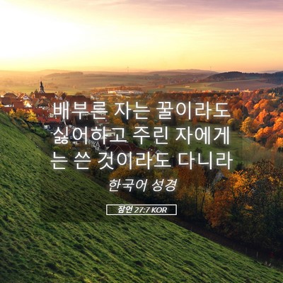 Picture 05 - 잠언 27:7 KOR - 배부른 자는 꿀이라도 싫어하고 주린 - Bible Verse Picture