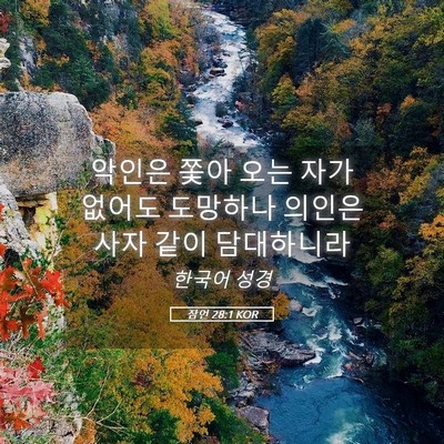 Picture 05 - 잠언 28:1 KOR - 악인은 쫓아 오는 자가 없어도 - Bible Verse Picture