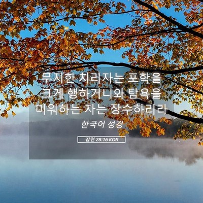 Picture 05 - 잠언 28:16 KOR - 무지한 치리자는 포학을 크게 - Bible Verse Picture
