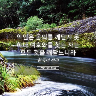 Picture 05 - 잠언 28:5 KOR - 악인은 공의를 깨닫지 못하나 - Bible Verse Picture