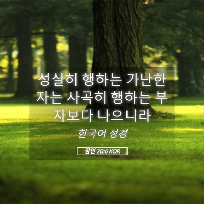 Picture 05 - 잠언 28:6 KOR - 성실히 행하는 가난한 자는 사곡히 - Bible Verse Picture