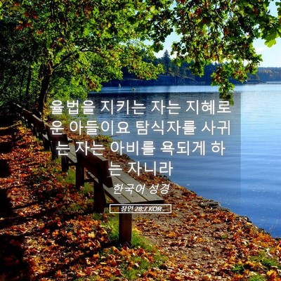Picture 05 - 잠언 28:7 KOR - 율법을 지키는 자는 지혜로운 - Bible Verse Picture