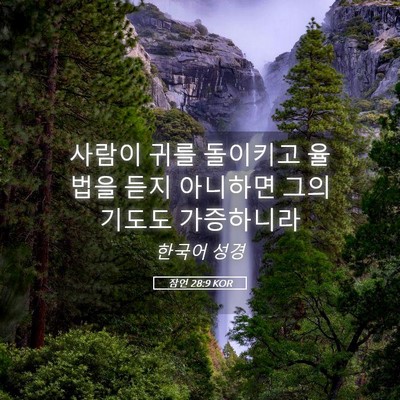 Picture 05 - 잠언 28:9 KOR - 사람이 귀를 돌이키고 율법을 듣지 - Bible Verse Picture