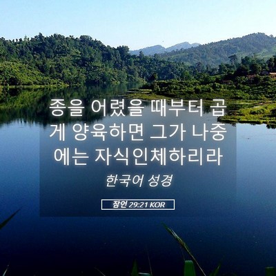 Picture 05 - 잠언 29:21 KOR - 종을 어렸을 때부터 곱게 양육하면 - Bible Verse Picture