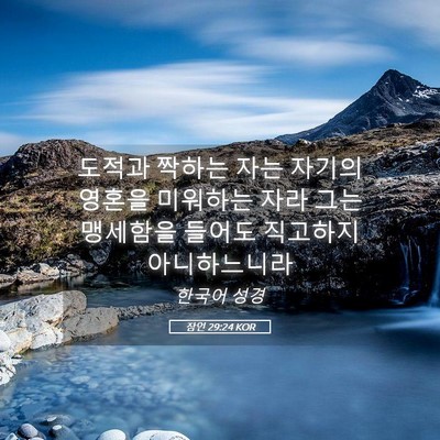Picture 05 - 잠언 29:24 KOR - 도적과 짝하는 자는 자기의 영혼을 - Bible Verse Picture