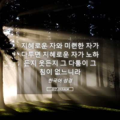 Picture 05 - 잠언 29:9 KOR - 지혜로운 자와 미련한 자가 다투면 - Bible Verse Picture