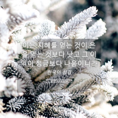 Picture 05 - 잠언 3:14 KOR - 이는 지혜를 얻는 것이 은을 얻는 - Bible Verse Picture