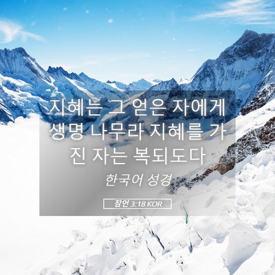 Picture 05 - 잠언 3:18 KOR - 지혜는 그 얻은 자에게 생명 나무라 - Bible Verse Picture